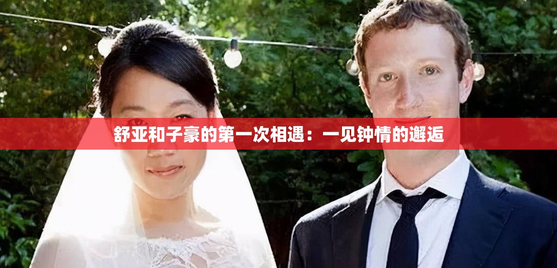 舒亚和子豪的第一次相遇：一见钟情的邂逅