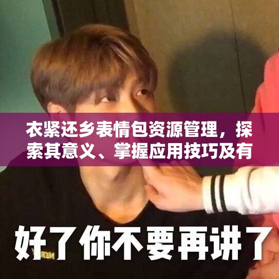 衣紧还乡表情包资源管理，探索其意义、掌握应用技巧及有效避免资源浪费策略
