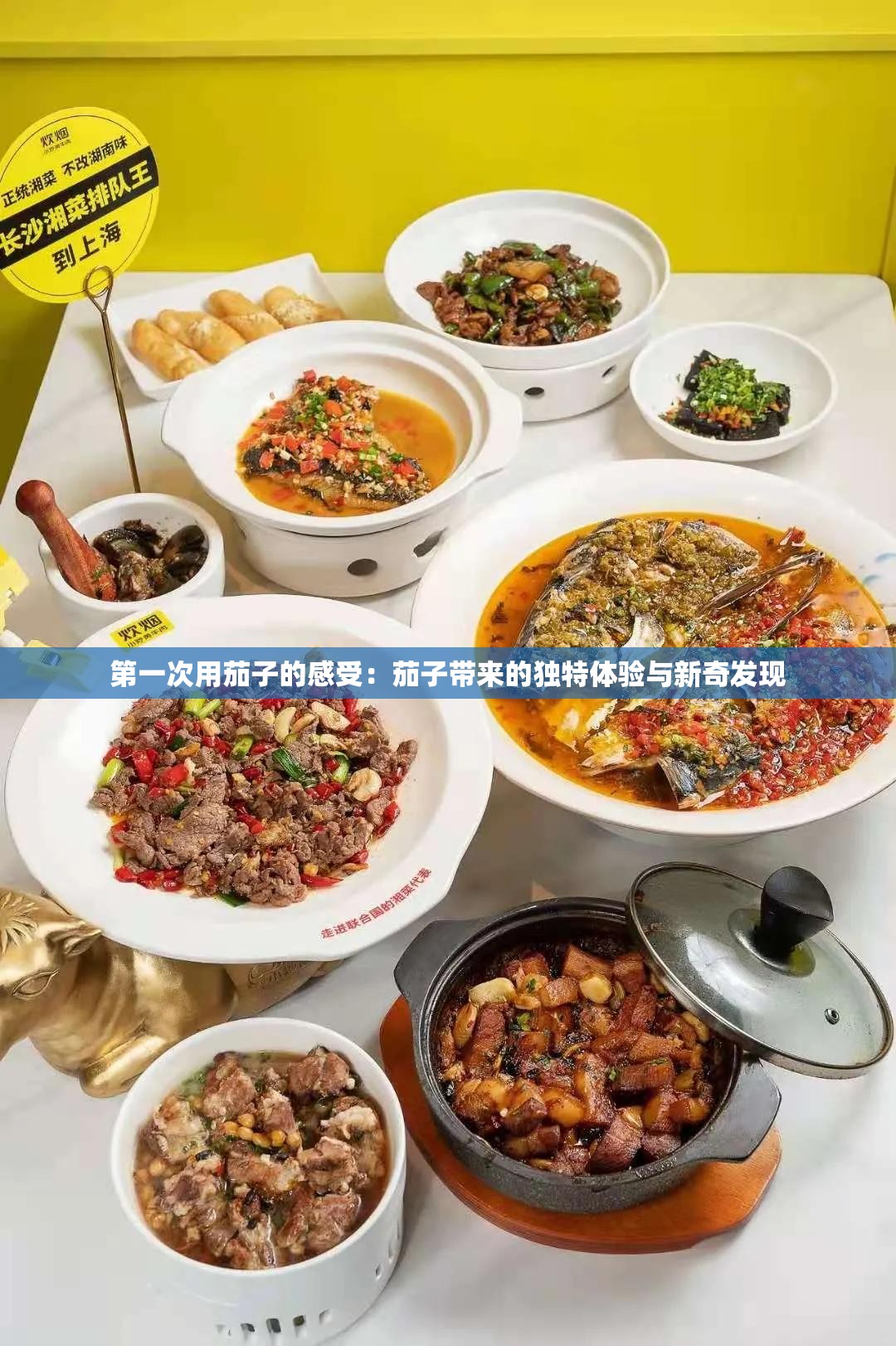 第一次用茄子的感受：茄子带来的独特体验与新奇发现