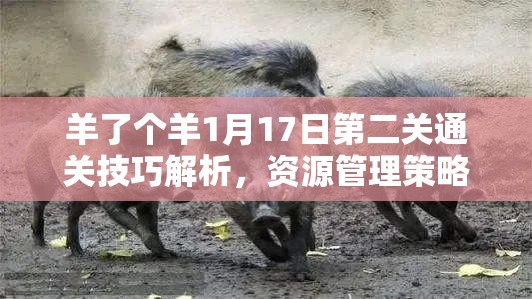 羊了个羊1月17日第二关通关技巧解析，资源管理策略在通关过程中的重要性