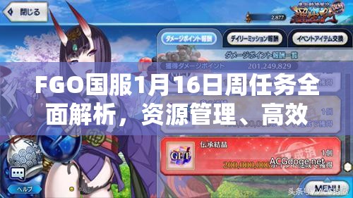 FGO国服1月16日周任务全面解析，资源管理、高效攻略与避免资源浪费技巧