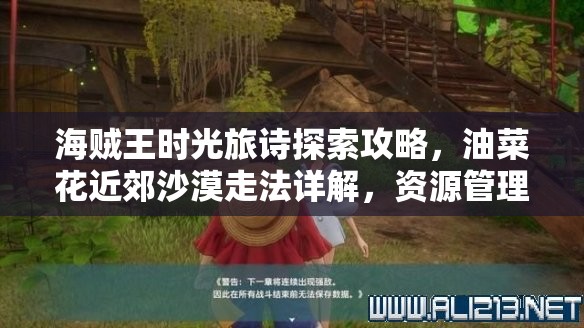 海贼王时光旅诗探索攻略，油菜花近郊沙漠走法详解，资源管理技巧与重要性分析