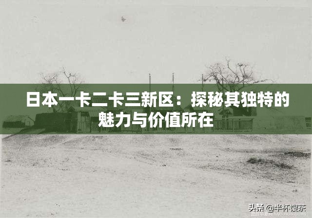 日本一卡二卡三新区：探秘其独特的魅力与价值所在
