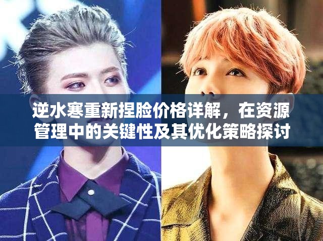 逆水寒重新捏脸价格详解，在资源管理中的关键性及其优化策略探讨