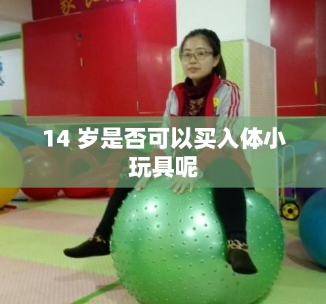 14 岁是否可以买入体小玩具呢