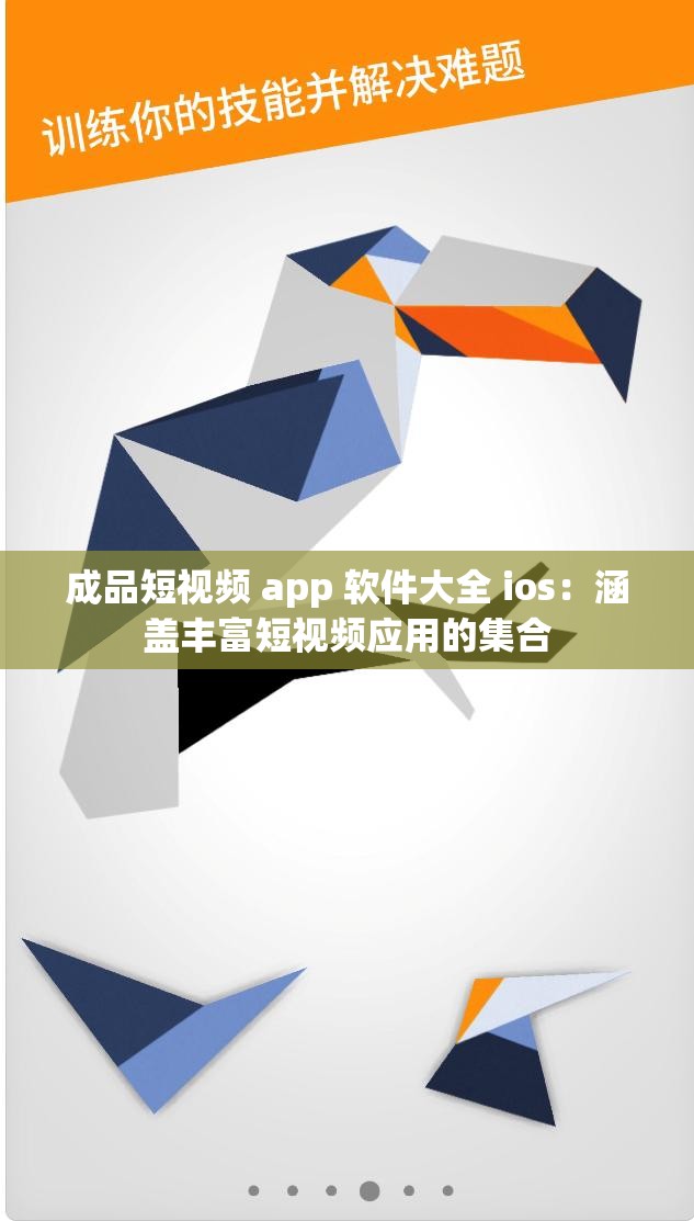 成品短视频 app 软件大全 ios：涵盖丰富短视频应用的集合