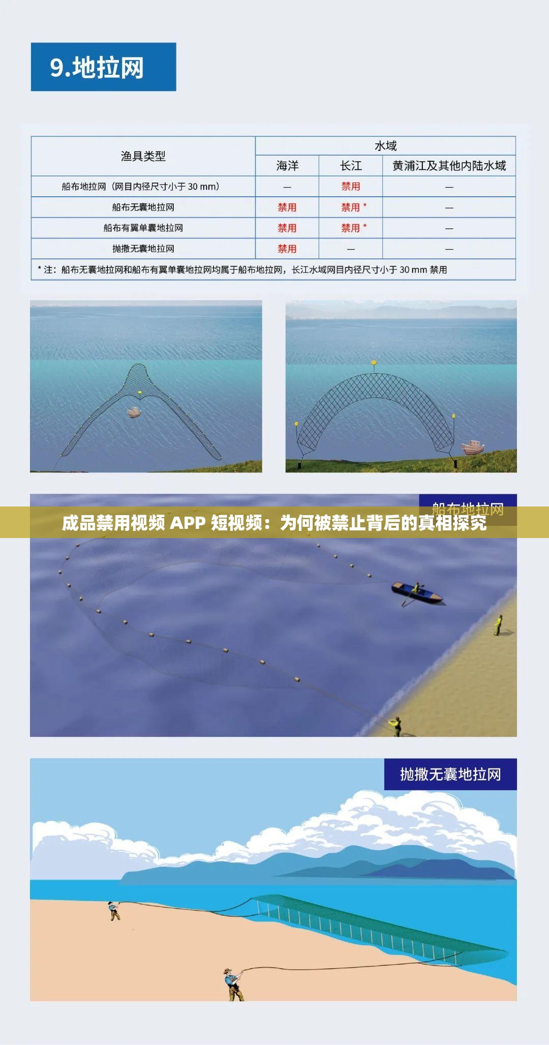 成品禁用视频 APP 短视频：为何被禁止背后的真相探究