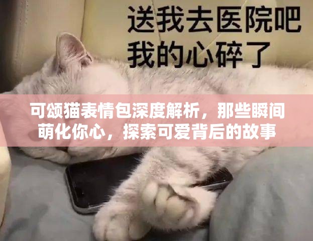 可颂猫表情包深度解析，那些瞬间萌化你心，探索可爱背后的故事