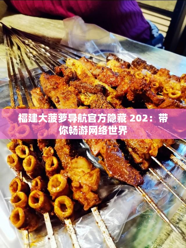 福建大菠萝导航官方隐藏 202：带你畅游网络世界