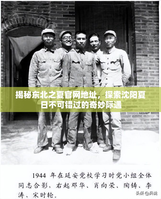 揭秘东北之夏官网地址，探索沈阳夏日不可错过的奇妙际遇
