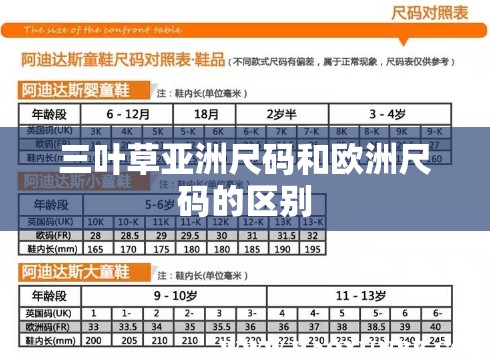 三叶草亚洲尺码和欧洲尺码的区别