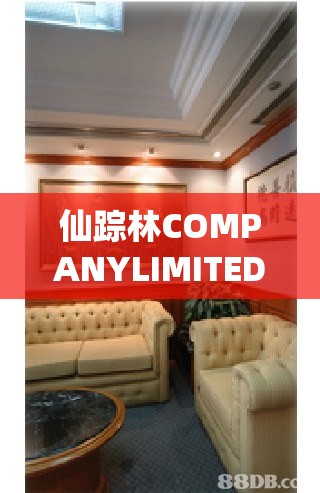 仙踪林COMPANYLIMITED：一家具有独特魅力的企业