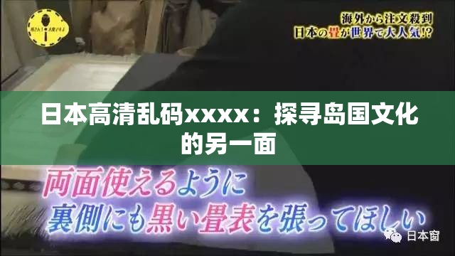 日本高清乱码xxxx：探寻岛国文化的另一面