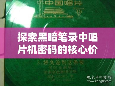探索黑暗笔录中唱片机密码的核心价值与实施高效管理策略