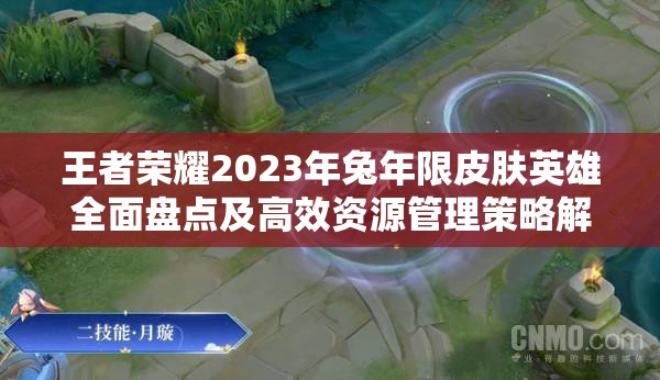王者荣耀2023年兔年限皮肤英雄全面盘点及高效资源管理策略解析