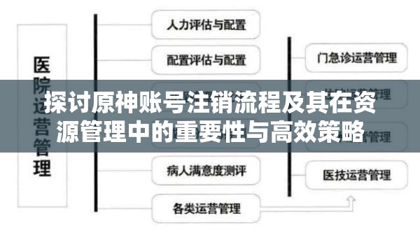 探讨原神账号注销流程及其在资源管理中的重要性与高效策略