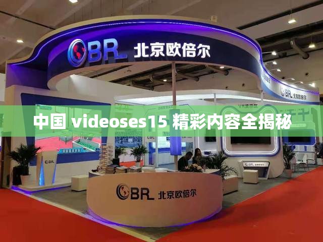 中国 videoses15 精彩内容全揭秘