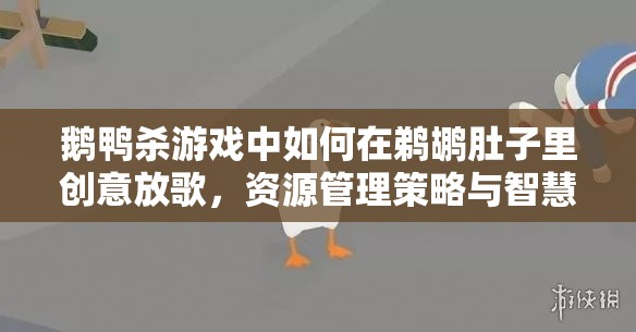 鹅鸭杀游戏中如何在鹈鹕肚子里创意放歌，资源管理策略与智慧运用解析