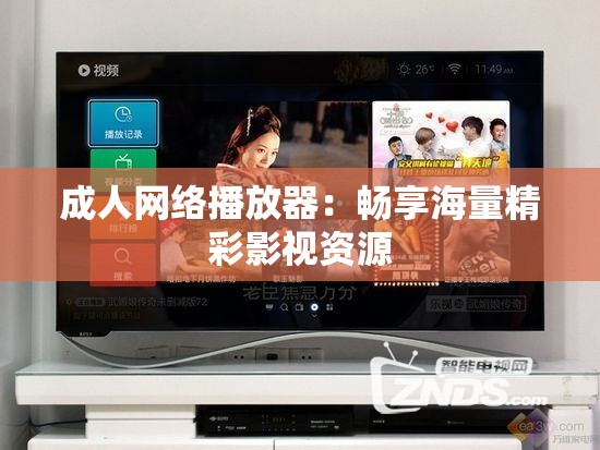 成人网络播放器：畅享海量精彩影视资源