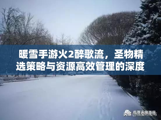 暖雪手游火2醉歌流，圣物精选策略与资源高效管理的深度艺术解析