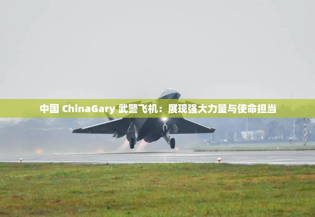 中国 ChinaGary 武警飞机：展现强大力量与使命担当
