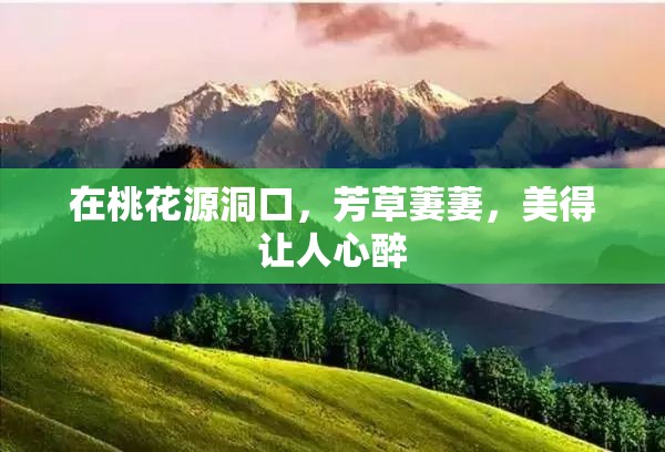 在桃花源洞口，芳草萋萋，美得让人心醉