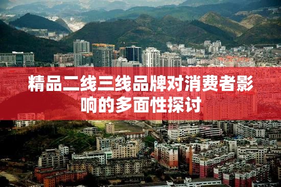 精品二线三线品牌对消费者影响的多面性探讨