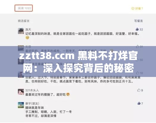 zztt38.ccm 黑料不打烊官网：深入探究背后的秘密