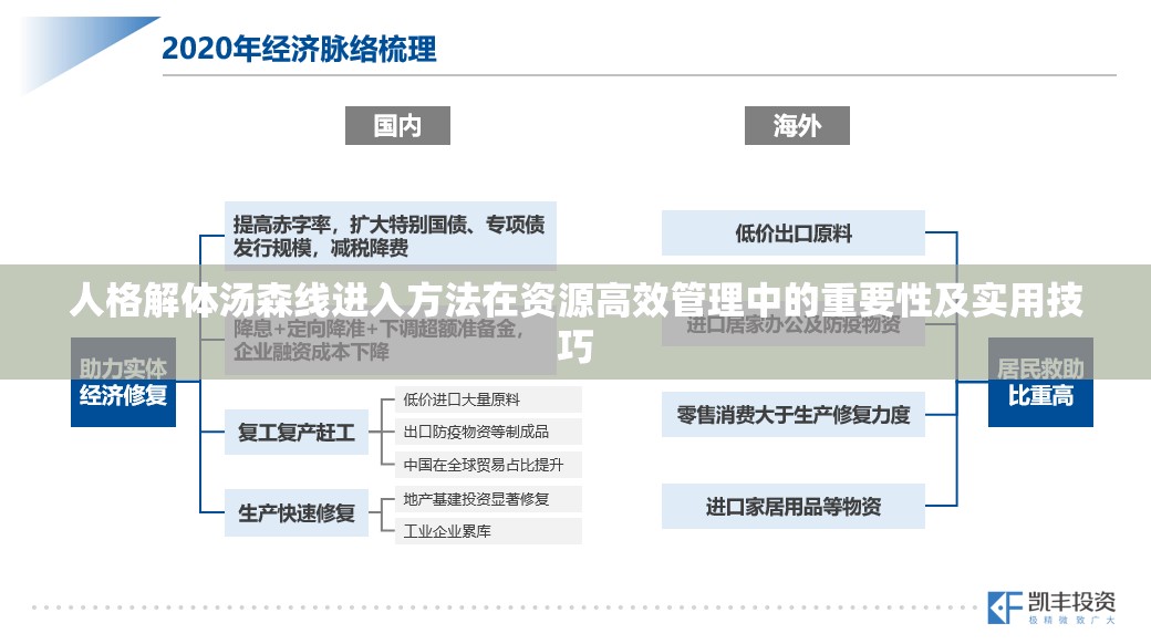 人格解体汤森线进入方法在资源高效管理中的重要性及实用技巧
