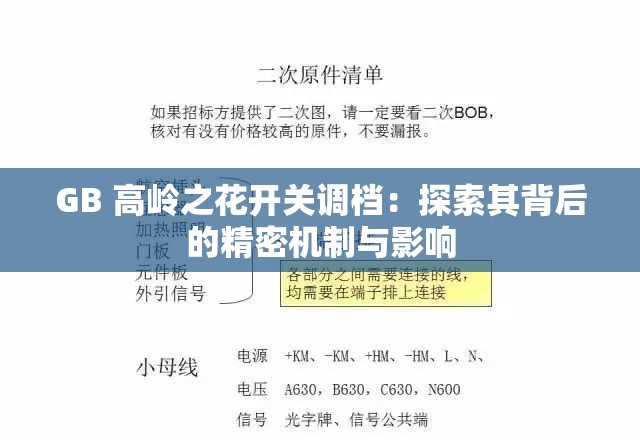 GB 高岭之花开关调档：探索其背后的精密机制与影响
