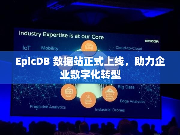 EpicDB 数据站正式上线，助力企业数字化转型