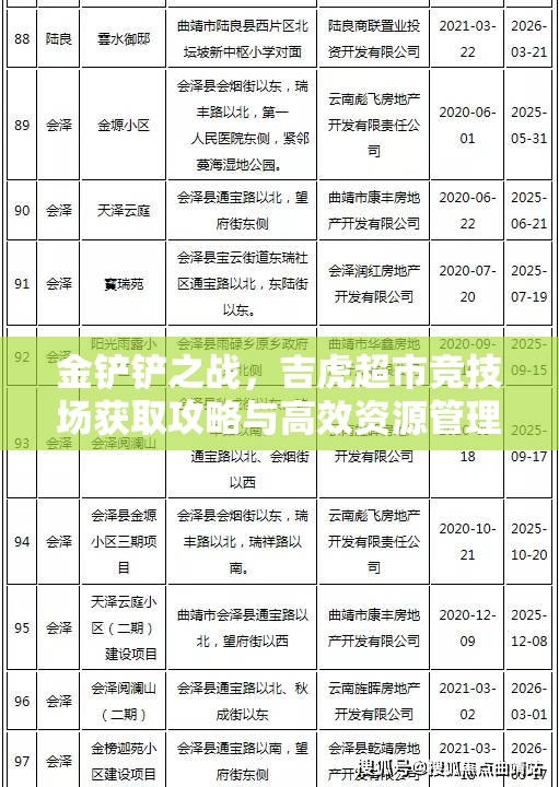 金铲铲之战，吉虎超市竞技场获取攻略与高效资源管理策略详解