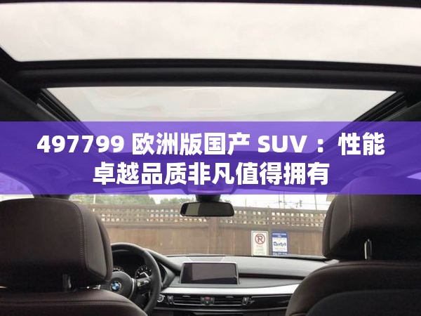 497799 欧洲版国产 SUV ：性能卓越品质非凡值得拥有