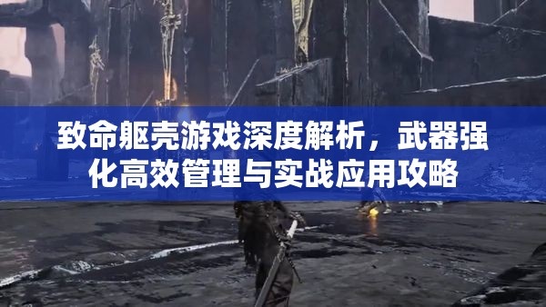 致命躯壳游戏深度解析，武器强化高效管理与实战应用攻略