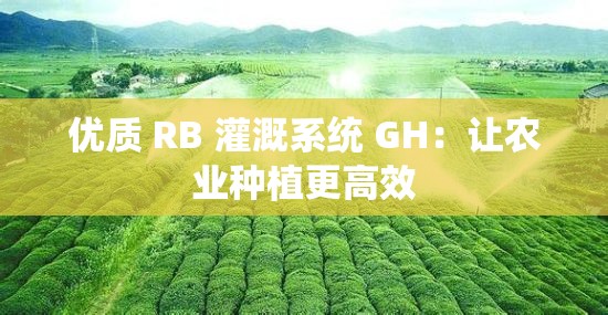 优质 RB 灌溉系统 GH：让农业种植更高效