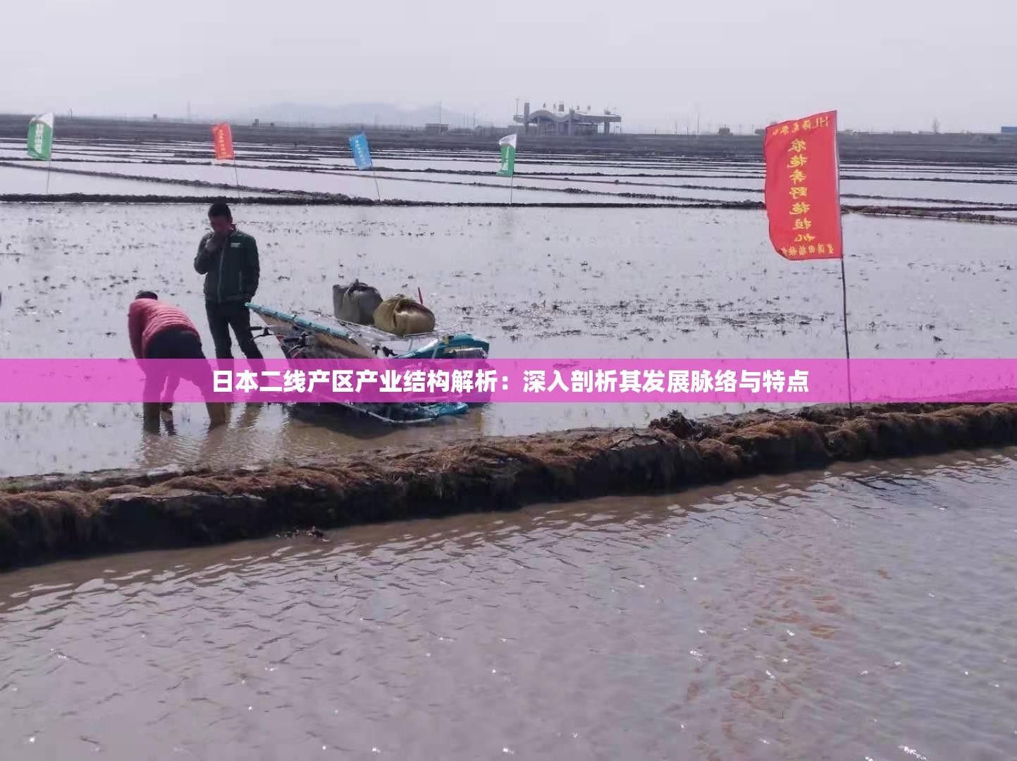 日本二线产区产业结构解析：深入剖析其发展脉络与特点