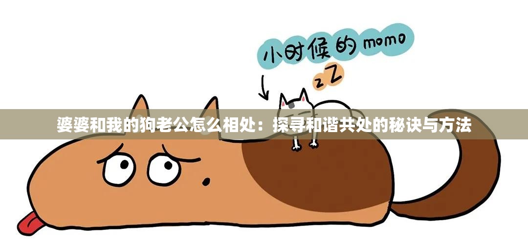 婆婆和我的狗老公怎么相处：探寻和谐共处的秘诀与方法