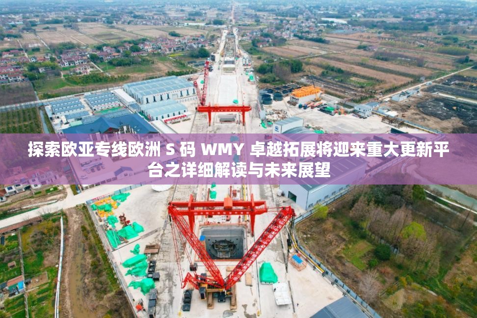 探索欧亚专线欧洲 S 码 WMY 卓越拓展将迎来重大更新平台之详细解读与未来展望
