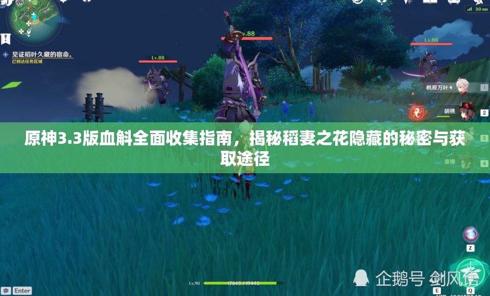 原神3.3版血斛全面收集指南，揭秘稻妻之花隐藏的秘密与获取途径