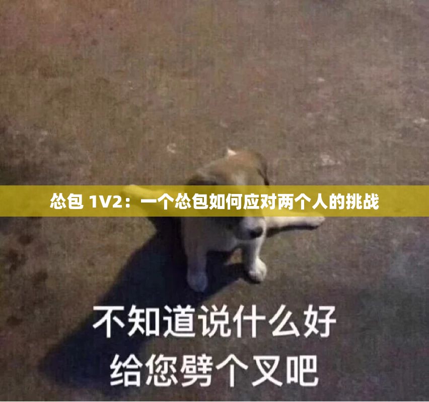 怂包 1V2：一个怂包如何应对两个人的挑战