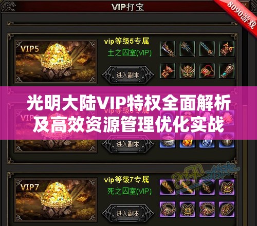 光明大陆VIP特权全面解析及高效资源管理优化实战策略
