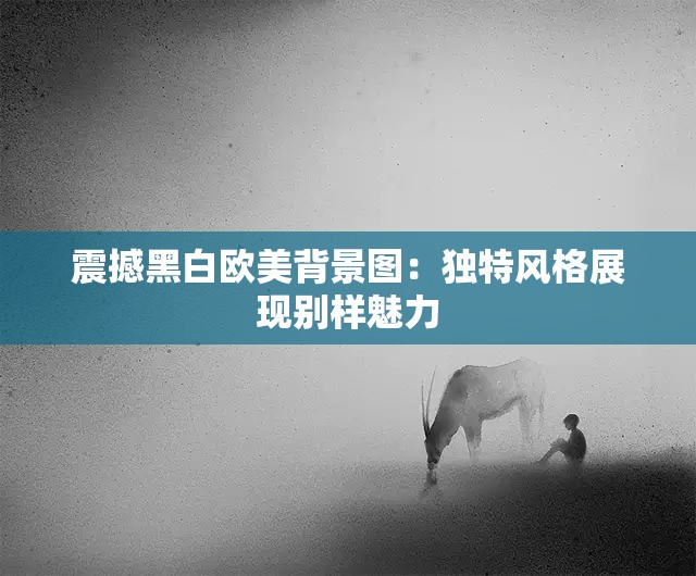 震撼黑白欧美背景图：独特风格展现别样魅力