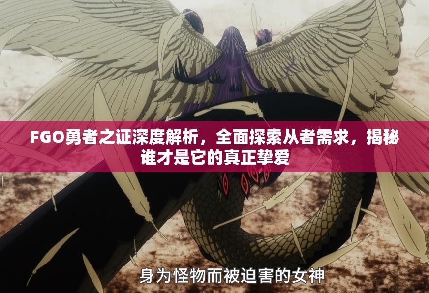 FGO勇者之证深度解析，全面探索从者需求，揭秘谁才是它的真正挚爱