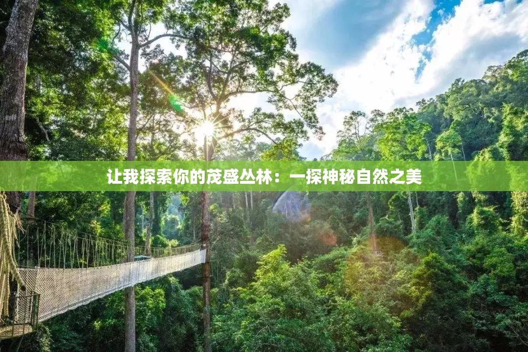让我探索你的茂盛丛林：一探神秘自然之美