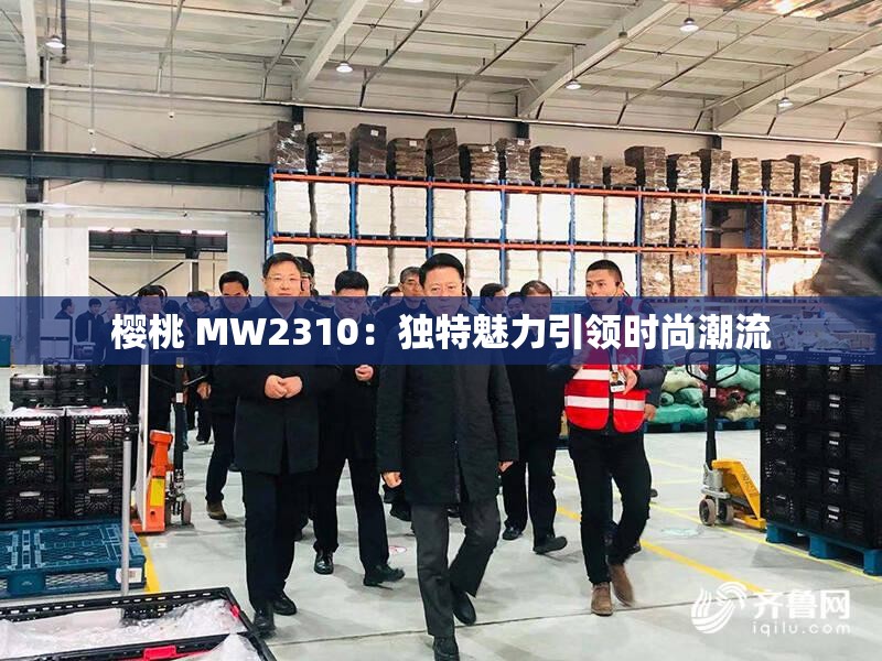 樱桃 MW2310：独特魅力引领时尚潮流