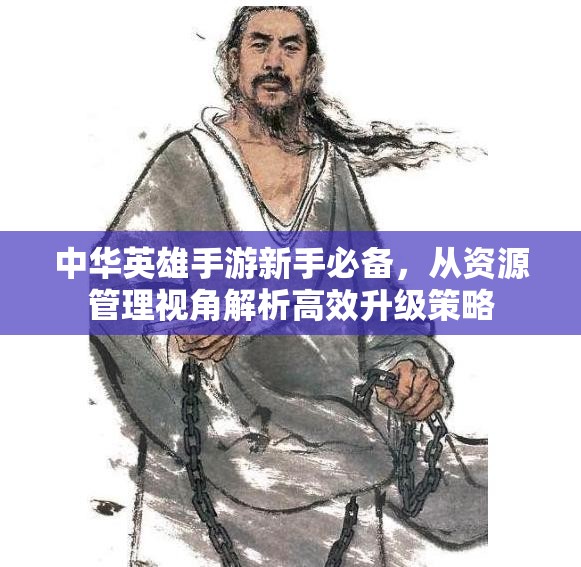 中华英雄手游新手必备，从资源管理视角解析高效升级策略
