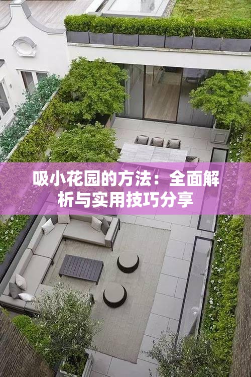 吸小花园的方法：全面解析与实用技巧分享