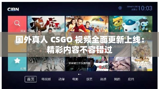 国外真人 CSGO 视频全面更新上线：精彩内容不容错过