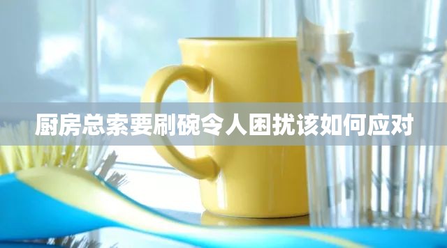 厨房总索要刷碗令人困扰该如何应对