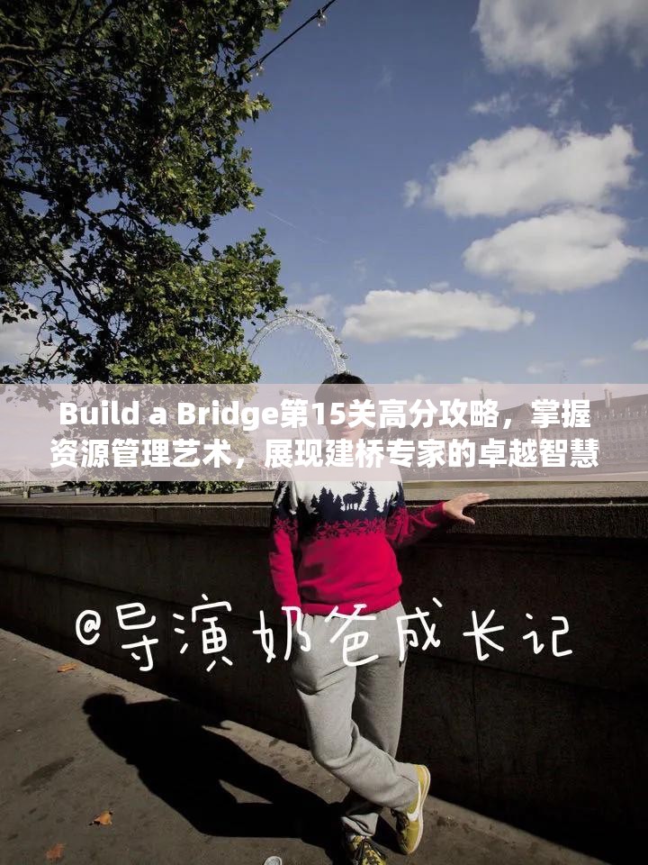 Build a Bridge第15关高分攻略，掌握资源管理艺术，展现建桥专家的卓越智慧